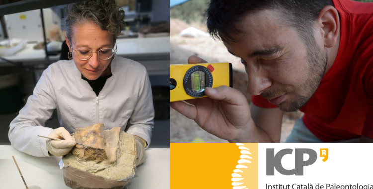 Ciència km0 |Isaac Casanovas, investigador ICP: “Tot Sabadell està sobre roques del Miocè. Si algú troba fòssils que ens truqui!” 