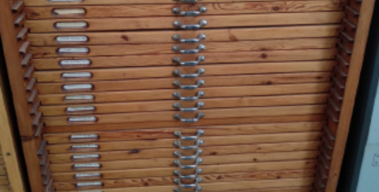 Judith Corominas, professora Escola Illa: "Teniem moltes ganes de tenir una màquina tipografíca manual per posar en valor el procés més manual"