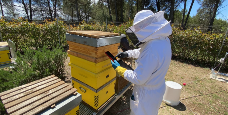 Investigadors del projecte UABee a l'apirari de la UAB | Cedida