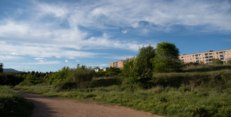La finca de tres hectàrees de Ca n'Ustrell on s'ubicarà el complex | Roger Benet 