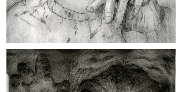 El cub blanc: 'Emocions gravades' arriba a l'Acadèmia de Belles Arts