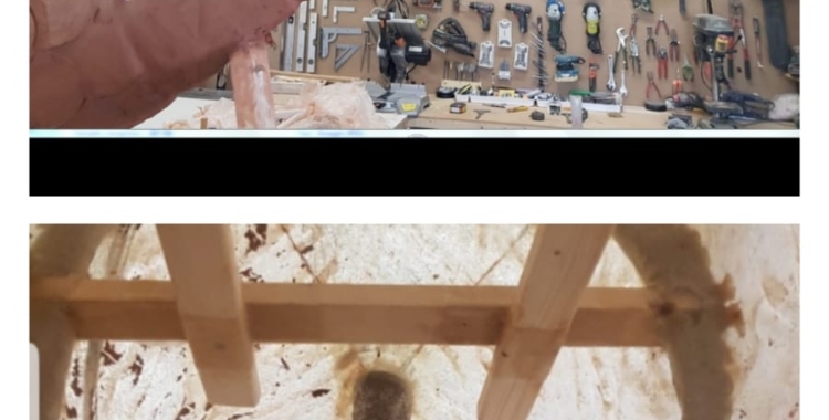 La Víbria sortirà de l'ou durant el pregó de La Creu Alta