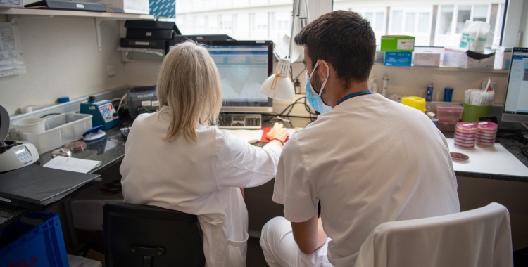 Laboratori del Tualí dedicat a analitzar les PCR | Roger Benet 