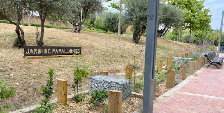 Jardí de papallones del Parc Catalunya | Cedida