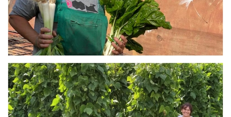 Maria Giner, fundadora de 'La Kosturica': "El paper de la dona en el món rural sempre ha sigut cabdal però invisibilitzat"