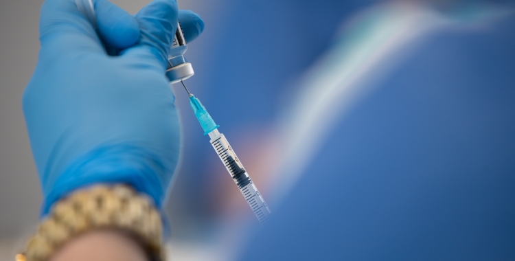 Imatge d'una vacuna/ Roger Benet