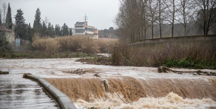 El riu Ripoll, durant el temporal Glòria/ Roger Benet