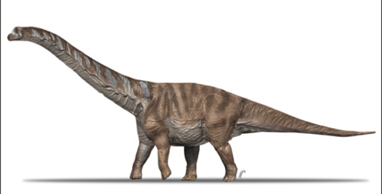 Abditosaurus kuehnei', l'últim dinosaure gegant dels Pirineus