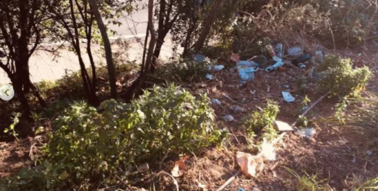 Els veïns de Covadonga denuncien la situació del Passeig de la Revolució. 