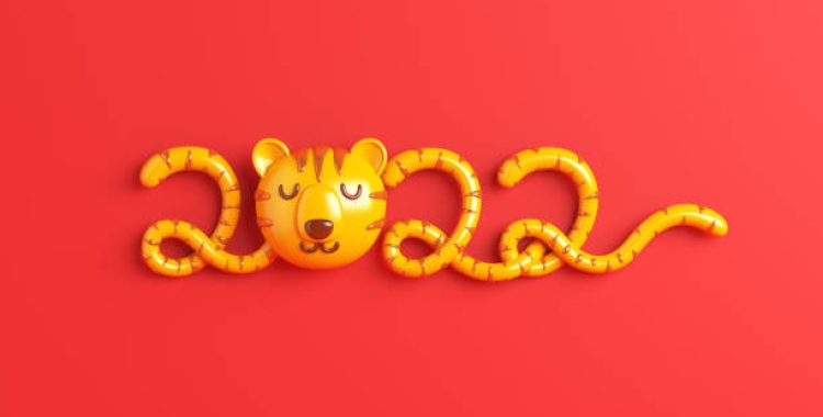 Celebrem l’arribada de l’Any Nou xinès, l’any del tigre!