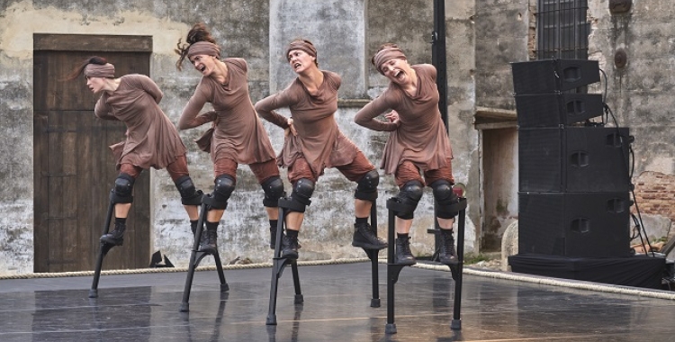 companyia maduixa migrare 