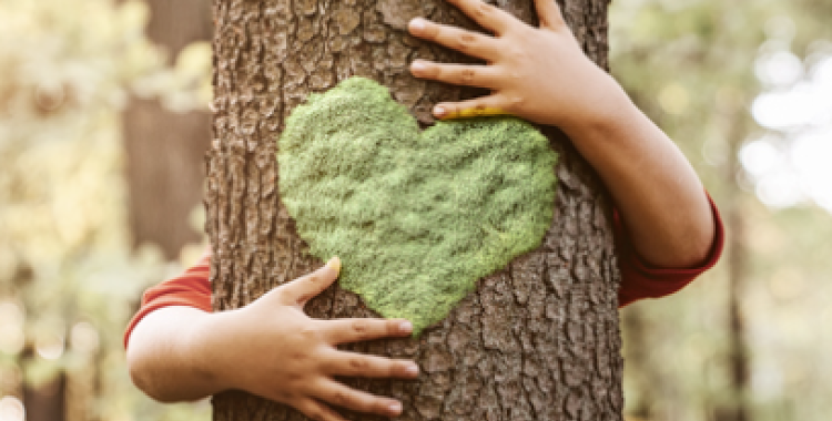 Tallers gratuïts per avançar cap a un turisme més competitiu, sostenible i digital 