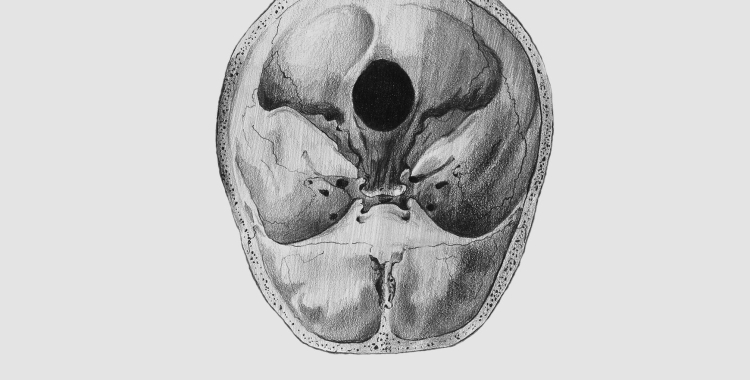 La imatge del cartell de l'exposició