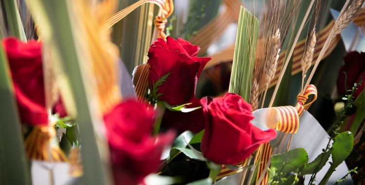 Les activitats es faran entre les 10 del matí i les 9 del vespre 