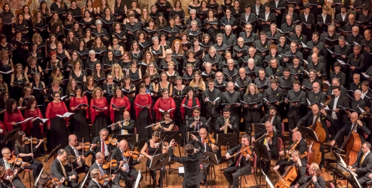 L'OSV al Palau de la Música | Cedida 