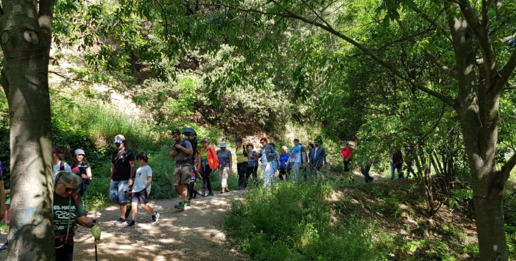 Aquest matí, alguns dels participants a la 37a pujada popular de La Salut