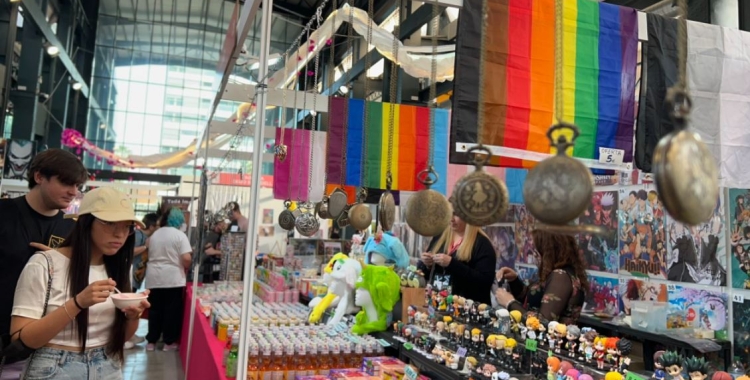 Prop de 10.000 persones han passat per la Fira Sakura Matsuri | Cecida