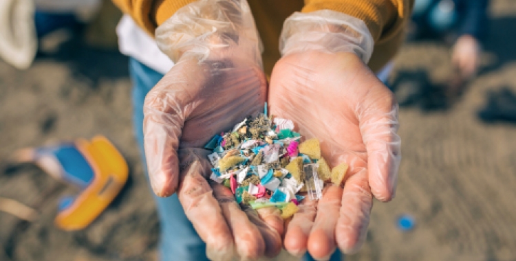 Un estudi de la UAB ha monitoritzat el recorregut dels microplàstics als intestins humans 