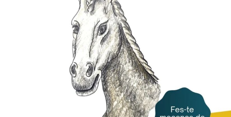 La Mulassa s'ha de batejar el 31 de juliol | Arxiu