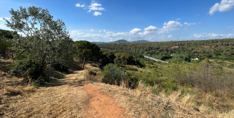 Prohibit accedir al PN de Sant Llorenç fins dilluns
