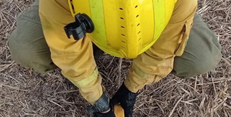 Baixen considerablement els incendis a Sabadell respecte de l'estiu passat