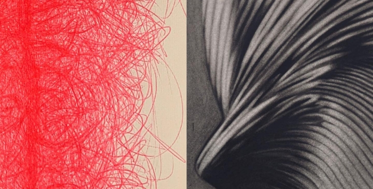 La mostra s'estrena aquesta tarda