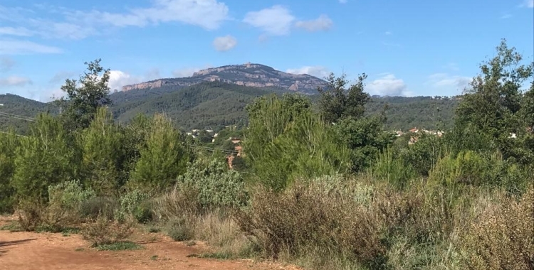 El Rodal és un dels espais verds que té Sabadell | Arxiu