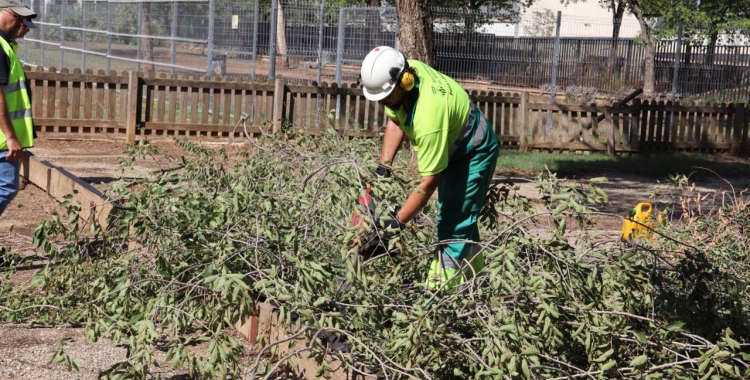 Retirada dels arbres caiguts/ Ajuntament de Sabadell