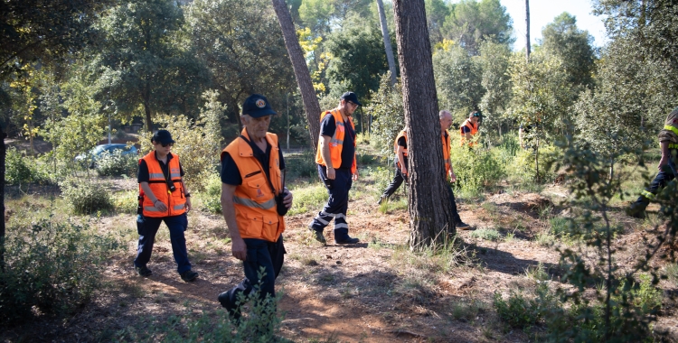 Moment de la batuda a la zona de Castellarnau | Roger Benet