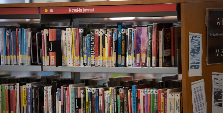 Avui és el Dia de les Biblioteques | Roger Benet