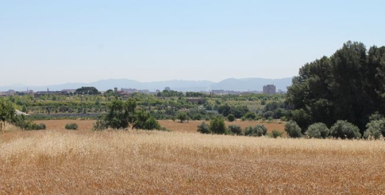 El Parc Agrari de Sabadell, sense treballar/ Ajuntament