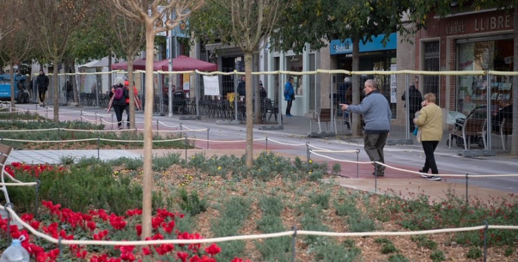 Imatge de les flors que s'han plantat al nou Passeig | Roger Benet