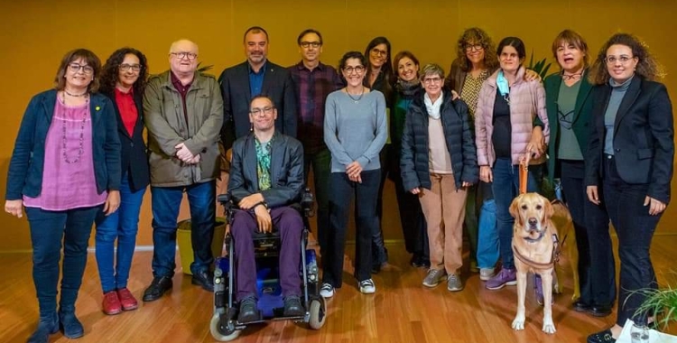 Imatge de la plataforma 