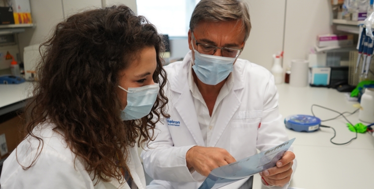 El nou mecanisme consisteix a inhibir una proteïna per reduir la proliferació de les cèl·lules canceroses | UAB