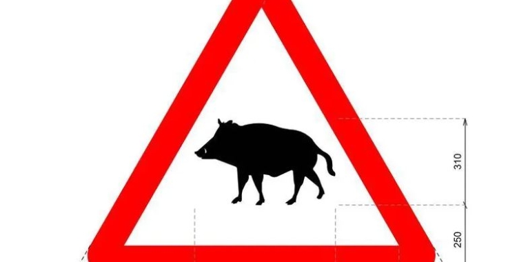 Un dels senyals que s'incorpora és el que fa referència a la presència de senglars | Cedida