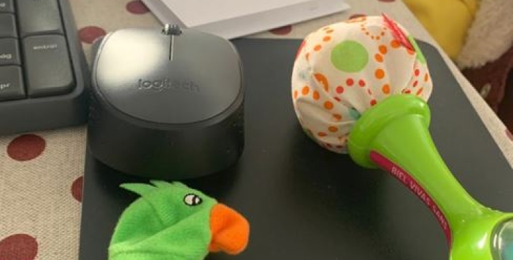 El govern espanyol ha plantejat la llei de famílies amb mesures per la conciliació | MS