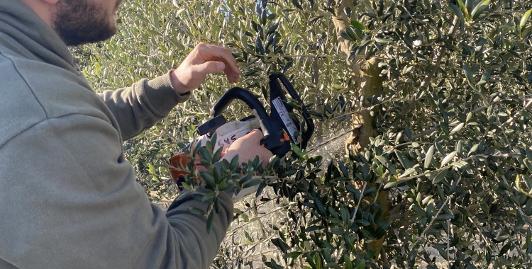 Avui es commemora el Dia Mundial del Sòl | ACN