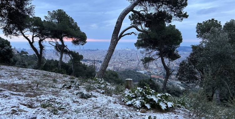 La neu ha caigut a cotes baixes a Catalunya | ACN