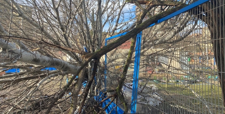 Incidències d'una ventada a Sabadell | Arxiu