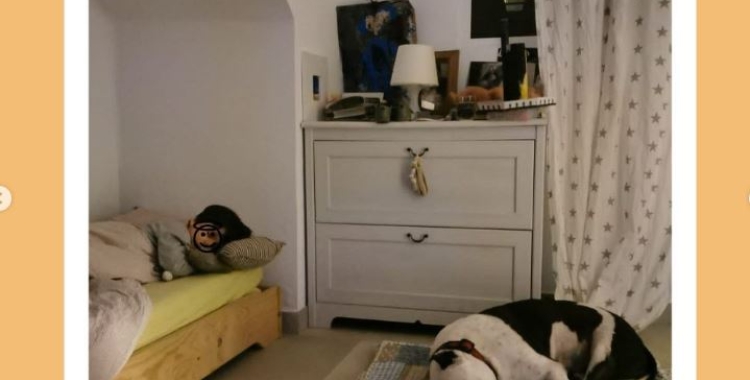 En Tauro a la seva casa d'acollida