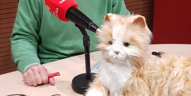 Pedro Cano, amb la mascota robot, a Ràdio Sabadell