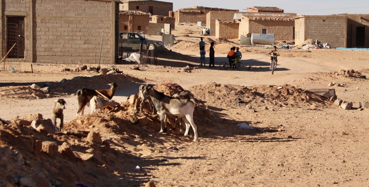 El camp de refugiats de Tinduf, al Sàhara Occidental | ACN