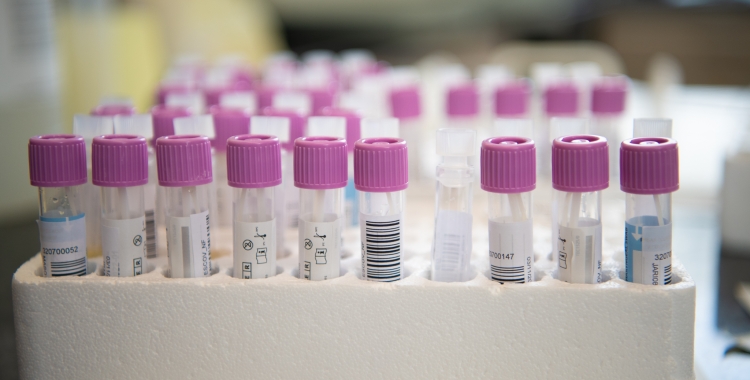 La grip B, la de tota la vida, és la més present aquests dies | Roger Benet