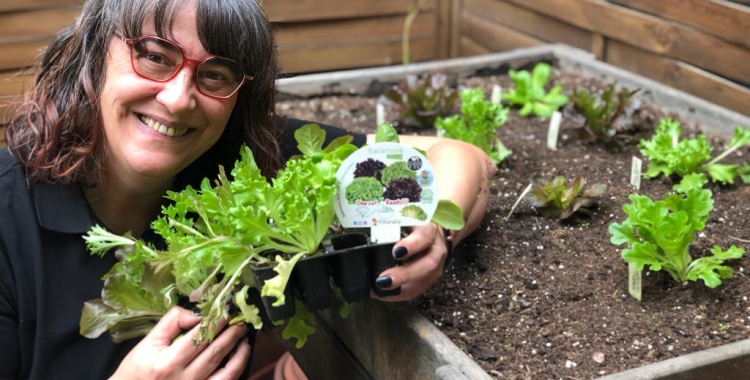 Pagesos de ciutat: Què es pot fer i quins cultius sembrar a la primavera