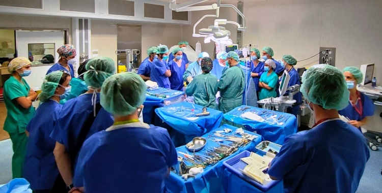 Un equip de trasplantament en acció | ACN