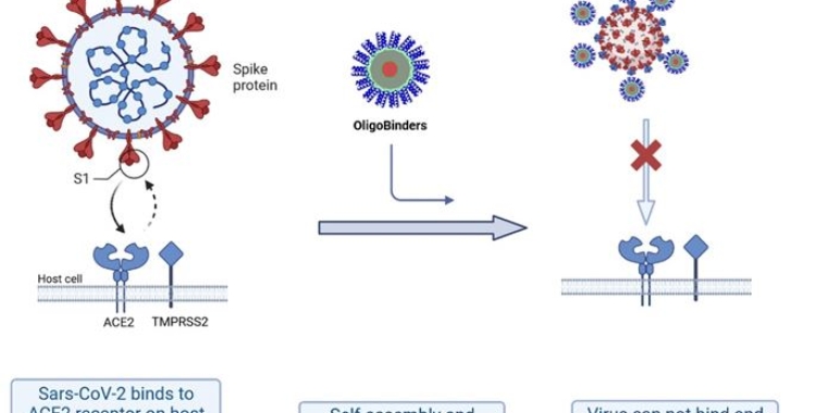 La descoberta s'ha fet al Departament de Biotecnologia i Biomedicina de la UAB | Cedida