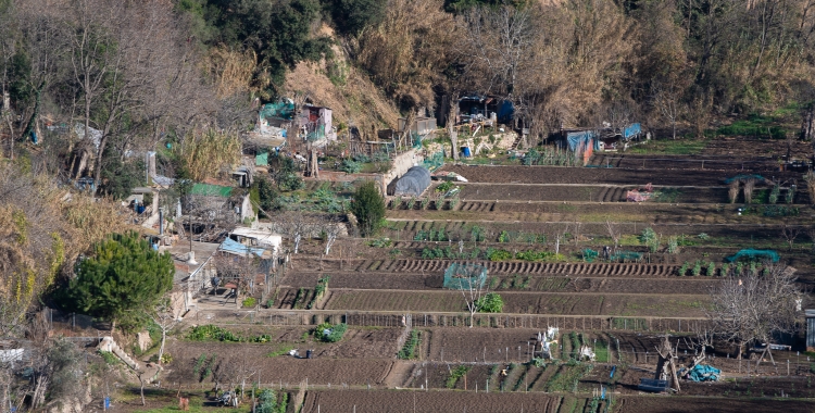 Horts del Ripoll/ Roger Benet