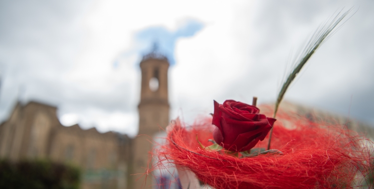 Una rosa de Sant Jordi | Roger Benet