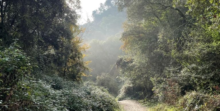 Els propietaris forestals asseguren que necessiten ajuda per poder defensar-se dels incendis | Cedida