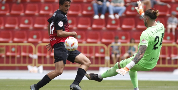 Javi Martín serà baixa diumenge per acumulació de targetes | CF Nucia